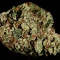 Pure Power Plant
